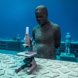 Auch arbeitet das Museum mit der James Cook University, dem Australian Institute of Marine Science und der Great Barrier Reef Marine Park Authority zusammen.