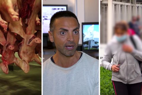 "Das System Tönnies" – TVNOW-Doku mit Tamer Bakiner