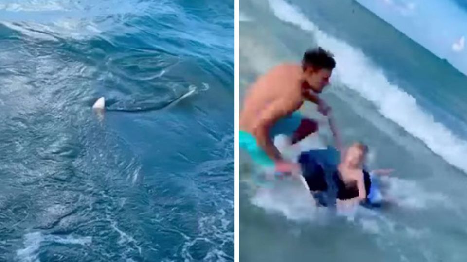 Polizist rettet Jungen vor einem Hai