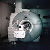 Mit einer Computertomografie wird der Zustand der Organe überprüft