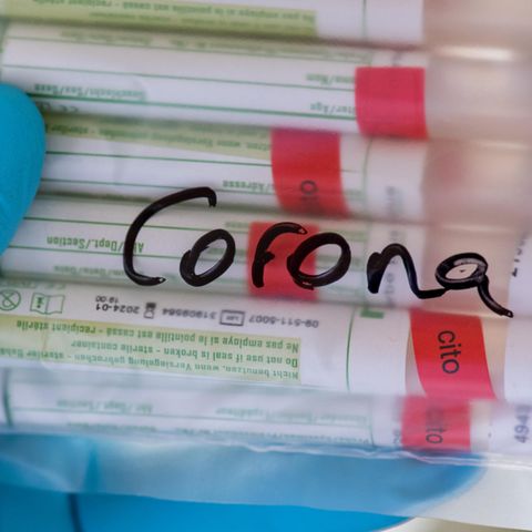 Proben für Corona-Tests
