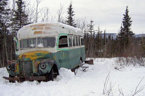 "Into the wild"-Bus