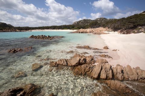 Pink Beach auf der Insel Budelli