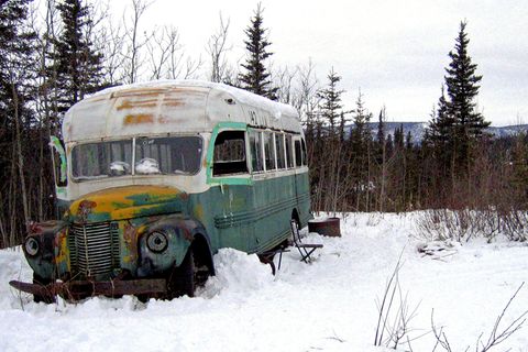 "Into the wild"-Bus