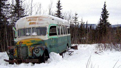 "Into the wild"-Bus