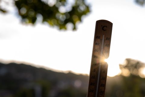 Hitzewelle in Deutschland