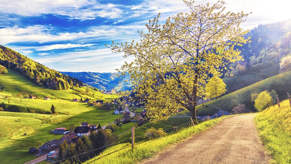 Reisereportage: Der Schwarzwald - von Kitsch zu Kult