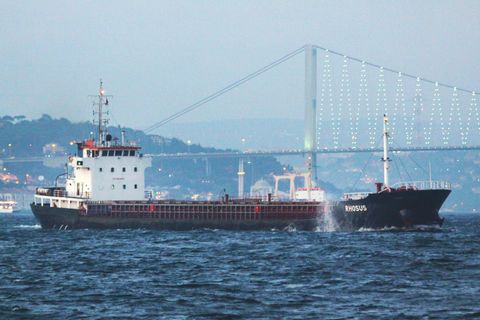 Mit dem inzwischen gesunkenen Frachter "Rhosus" (hier 2010 vor Istanbul) soll vor mehr als sechs Jahren das Ammoniumnitrat nach Beirut gekommen sein, dass zur Explosionskatastrophe vom Mittwoch führte.