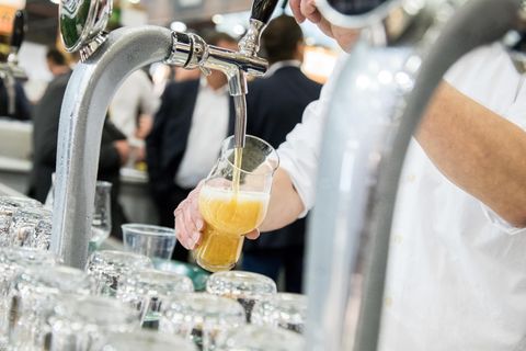 Der Tropfen aus Malz und Hopfen wird heute besonders geehrt, denn heute ist der Tag des Bieres