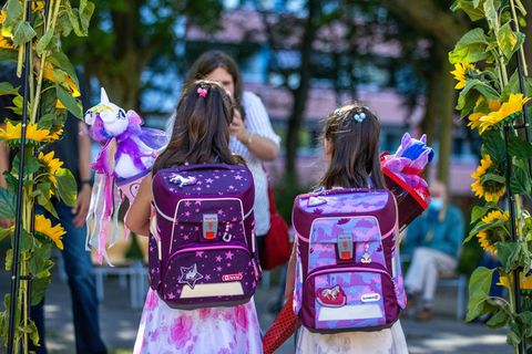 Schule Coronavirus: Virologen veröffentlichen Stellungnahme
