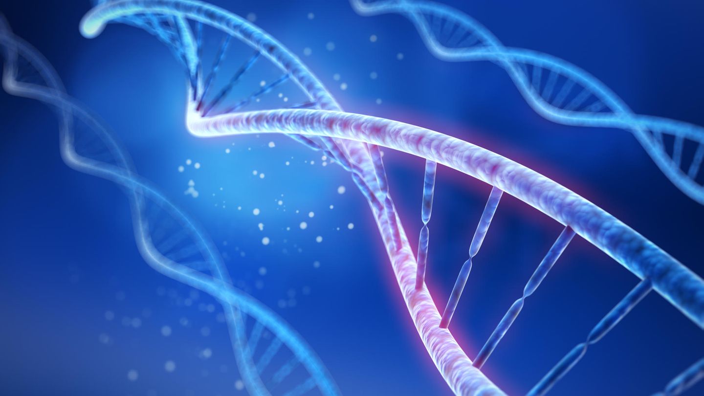 27 Gene wurden umbenannt, um Fehler in Excel zu vermeiden.