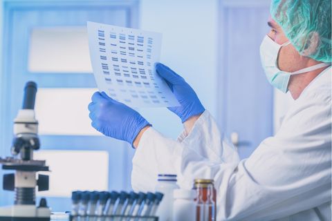 Microsoft-Programm: Wissenschaftler benennen wegen Excel-Fehler 27 menschliche Gene um