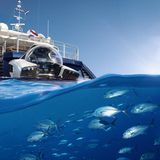 Der Piolt muss die "Nemo" nur mit einem Controller steuern. Die Trimmung geschieht automatisch.