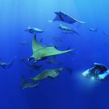 100 Meter Tauchtiefe und acht Stunden Autonomie sind eindrucksvolle Daten.