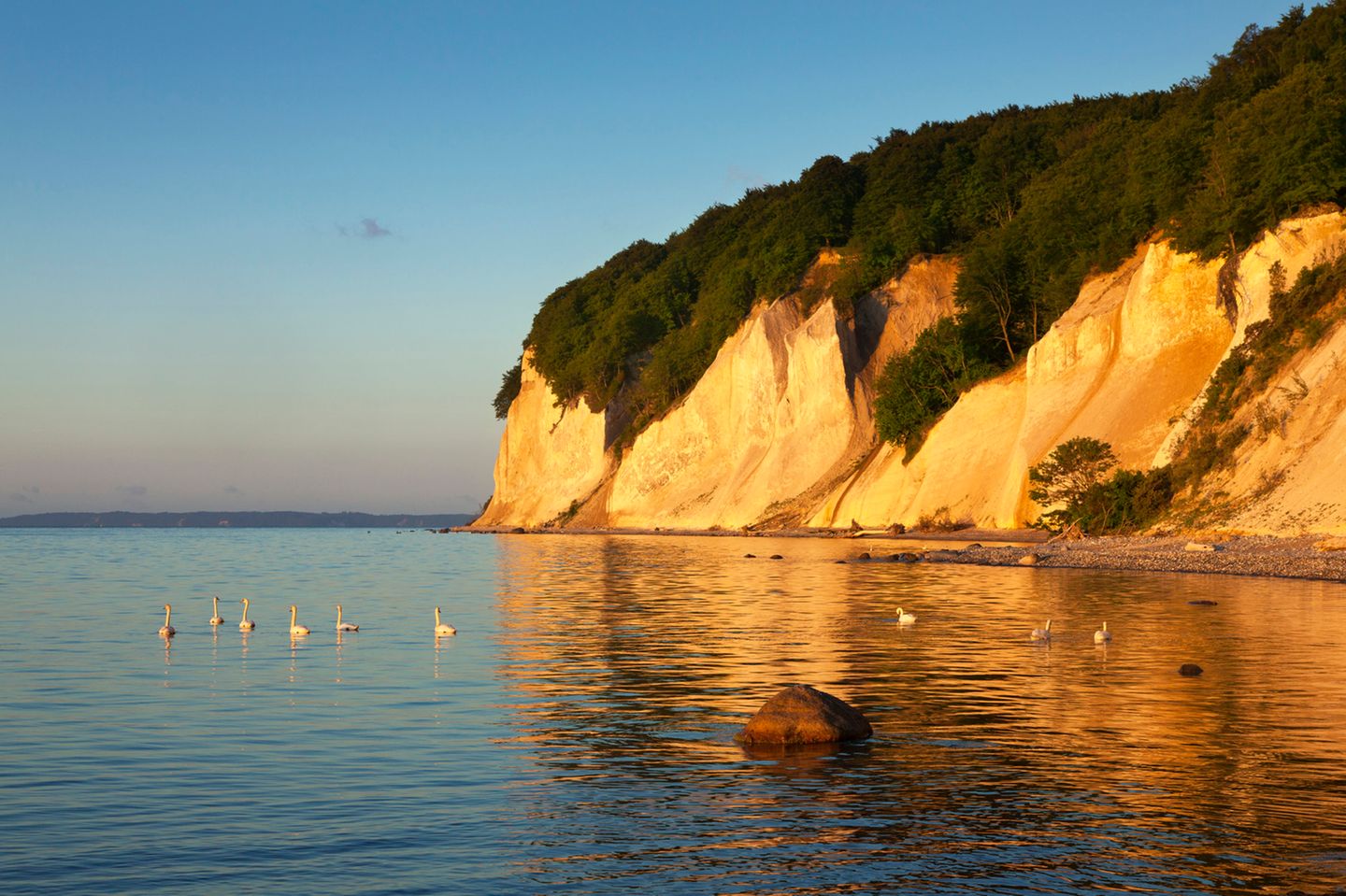 Kreidefelsen Rügen