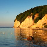 Kreidefelsen Rügen