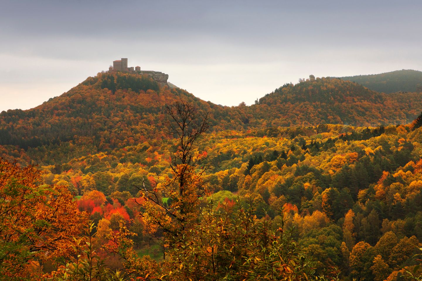 Burg Trifels bei Annweiler im Pfälzer Wald