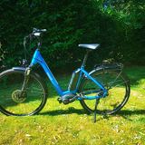 Trotz des tiefen Einstiegs ist der Rahmen sehr steif. Das Brenta Classico Performance  lässt sich fahraktiv bewegen.