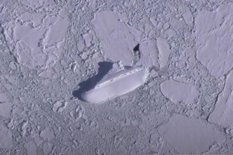 Ein Eisklotz in der Form eines Passagierdampfers