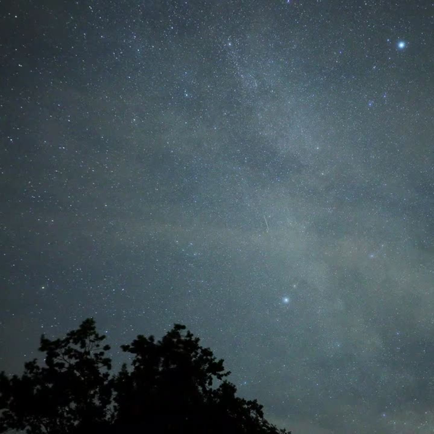 Video Sternschnuppen Am Nachthimmel Perseiden Erreichen Hohepunkt Stern De