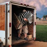 Ranchbesitzer Erik Grimland transportiert eine Jagdtrophäe