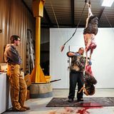 Erik Grimland häutet ein Mufflon