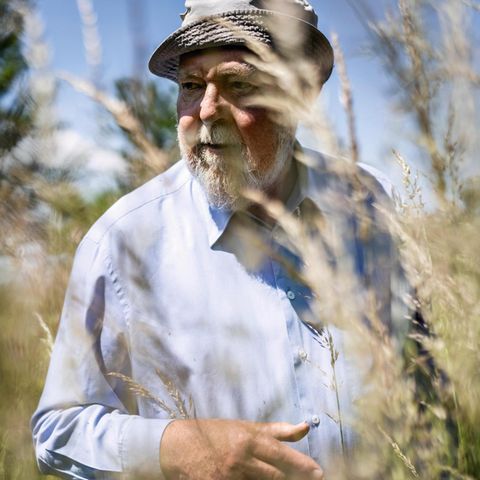 Michael Succow