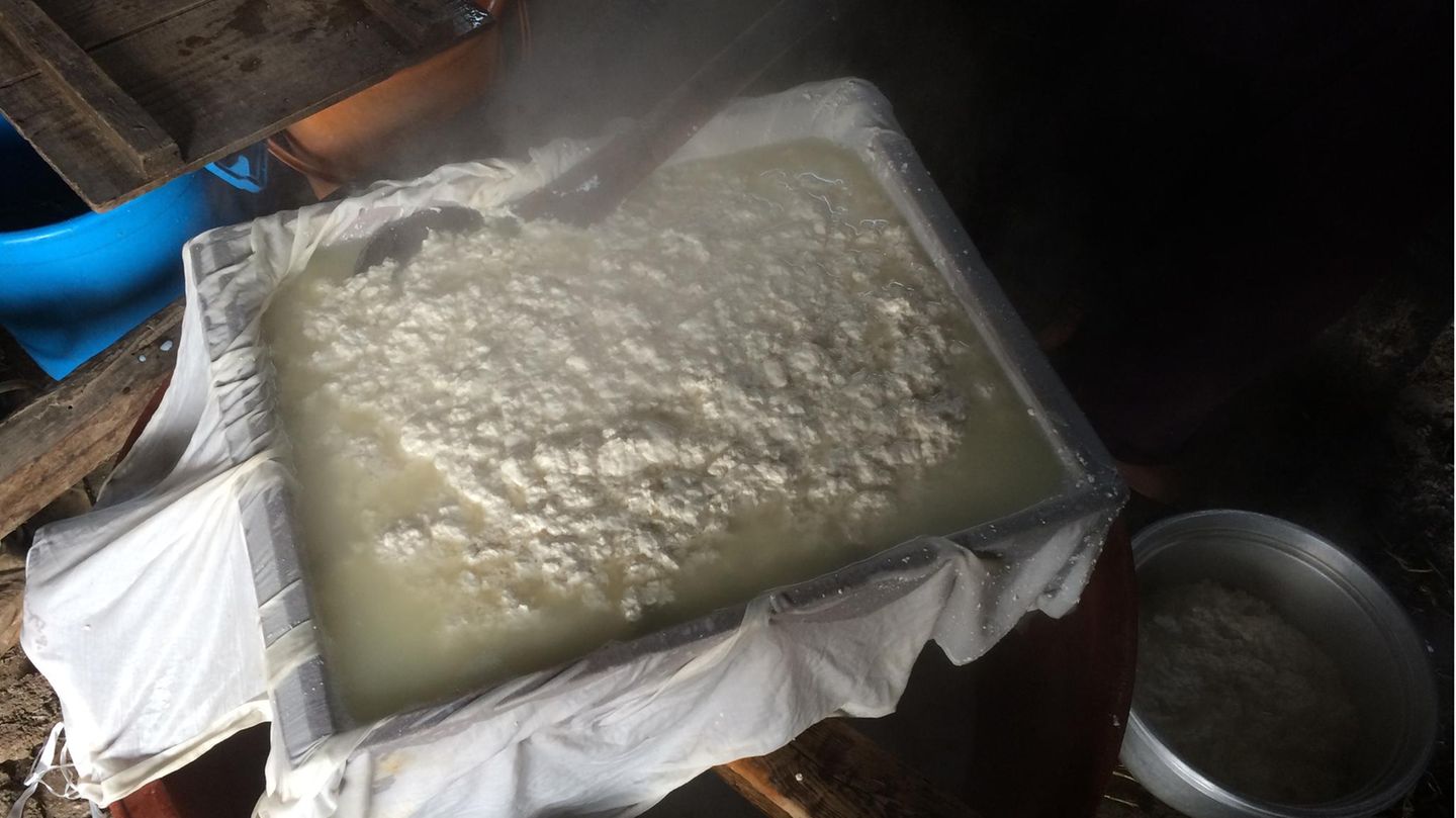 Tofu-Herstellung