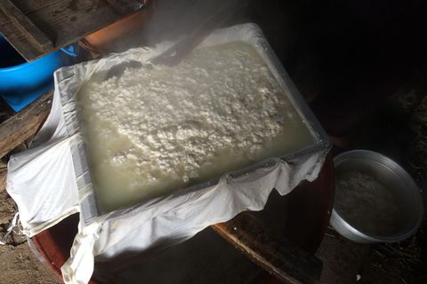 Tofu-Herstellung