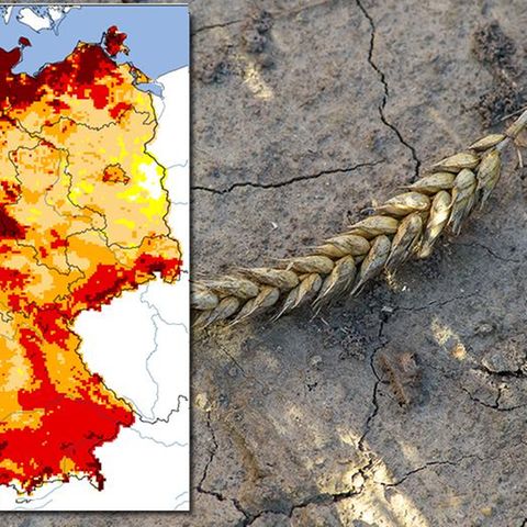Dürre in Deutschland