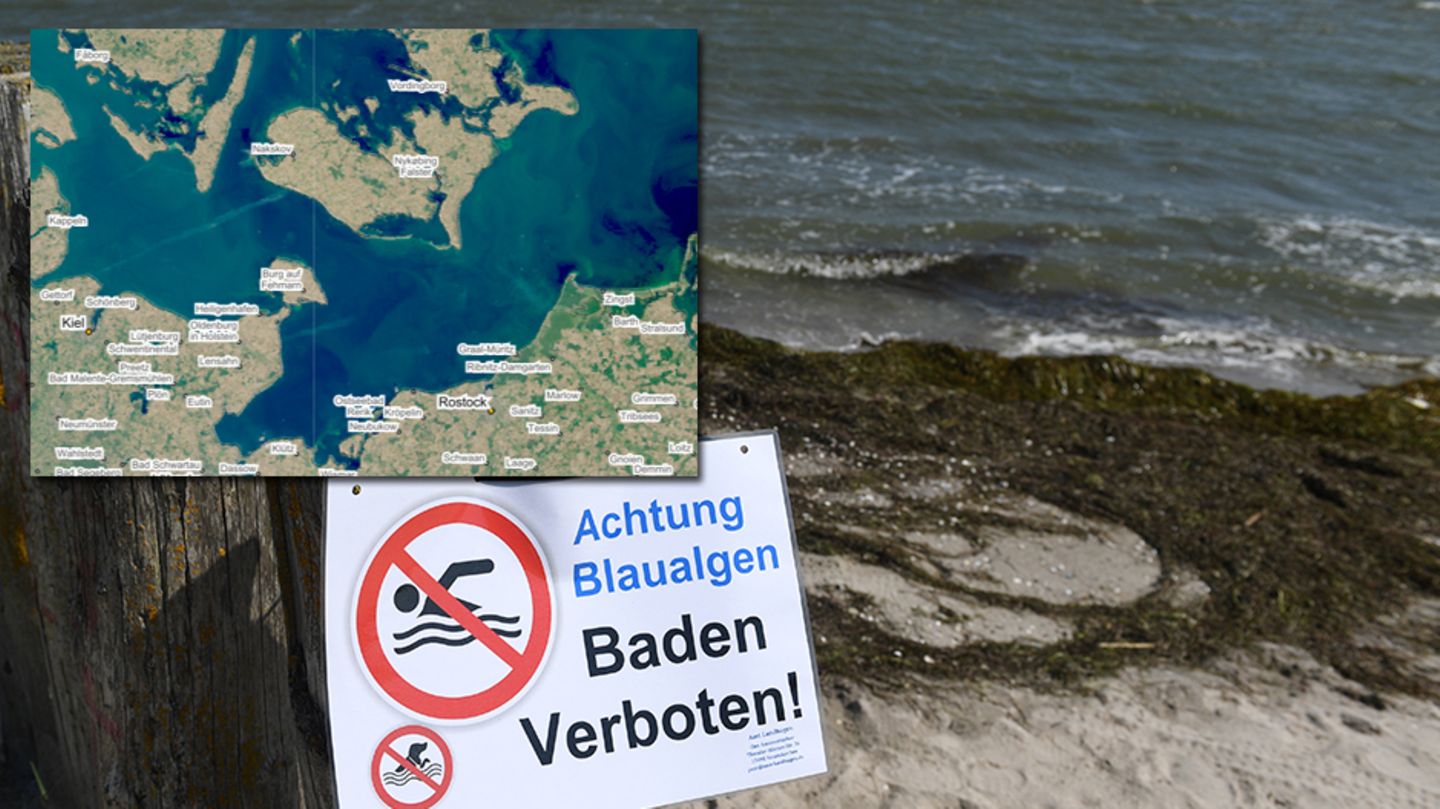 Satellitenbilder Zeigen Blaualgen Vor Den Badestranden Der Ostsee Stern De