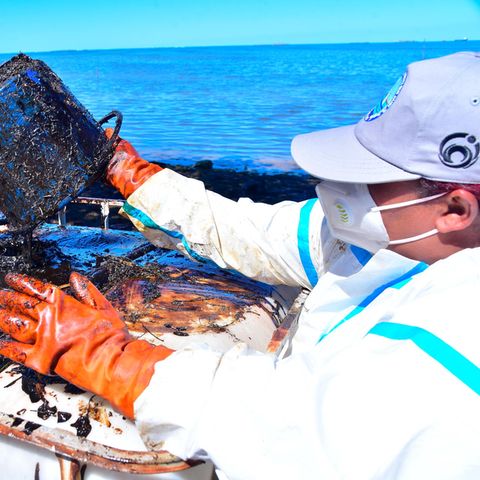 Freiwillige helfen, das Öl vor Mauritius zu entfernen