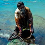 Ölkatastrophe Mauritius