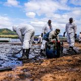 Ölkatastrophe Mauritius