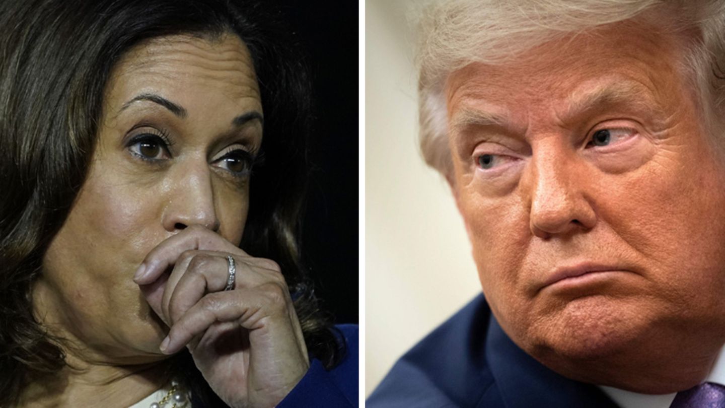 Kombo Kamala Harris und Donald Trump im Protrait