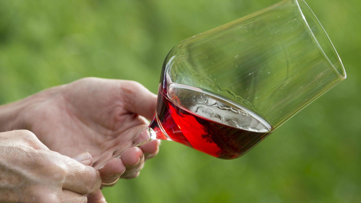 Urlaubspläne : ERLEBEN MERAN WINEFESTIVAL: Wenn Anfang November mehr als 500 Winzer, Spirituosenhersteller, Bierbrauer ins Stadtkurhaus von Meran laden, fällt es schwer, Maß zu halten. Meran, www.meranowinefestival.com ERLEBEN MERAN WINEFESTIVAL: Wenn Anfang November mehr als 500 Winzer, Spirituosenhersteller, Bierbrauer ins Stadtkurhaus von Meran laden, fällt es schwer, Maß zu halten. Meran, www.meranowinefestival.com