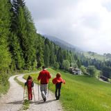 ERLEBEN  BLAUBURGUNDERWEG: Was Sie schon immer über diesen Rotwein wissen wollten, erfahren Sie auf dem 15 Kilometer langen Lehrpfad am Naturpark Trudner Horn. www.outdooractive.com