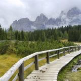 ERLEBEN  FRIEDENSWEG 1753: Vor fast 250 Jahren legten Tirol und Venedig ihre Streitigkeiten bei und eine Demarkationslinie fest. Einige besonders gut erhaltene Grenzsteine  stehen am Kreuzbergpass zwischen Sexten und Comelico Superiore, wo der Naturpfad beginnt. Eine Ausstellung in Kartitsch klärt  über die Historie und das Projekt auf, das bis an den Gardasee fortgeführt werden soll. www.1753.eu