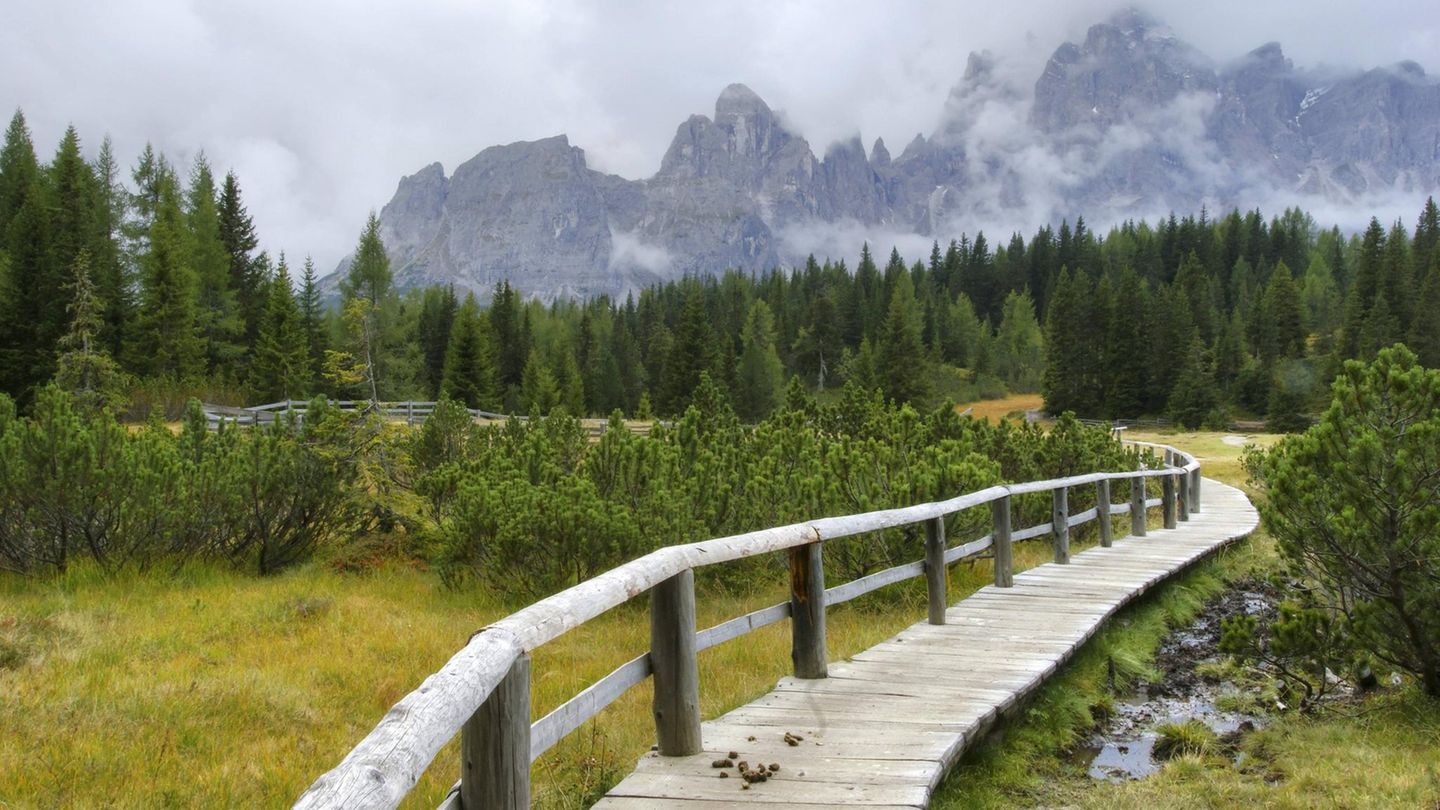 Urlaubspläne : ERLEBEN FRIEDENSWEG 1753: Vor fast 250 Jahren legten Tirol und Venedig ihre Streitigkeiten bei und eine Demarkationslinie fest. Einige besonders gut erhaltene Grenzsteine stehen am Kreuzbergpass zwischen Sexten und Comelico Superiore, wo der Naturpfad beginnt. Eine Ausstellung in Kartitsch klärt über die Historie und das Projekt auf, das bis an den Gardasee fortgeführt werden soll. www.1753.eu ERLEBEN FRIEDENSWEG 1753: Vor fast 250 Jahren legten Tirol und Venedig ihre Streitigkeiten bei und eine Demarkationslinie fest. Einige besonders gut erhaltene Grenzsteine stehen am Kreuzbergpass zwischen Sexten und Comelico Superiore, wo der Naturpfad beginnt. Eine Ausstellung in Kartitsch klärt über die Historie und das Projekt auf, das bis an den Gardasee fortgeführt werden soll. www.1753.eu
