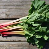 Rhabarber