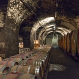 ERLEBEN  KELLEREI BOZEN: Mehr als 220 Südtiroler Weinbauern haben sich in der Genossenschaft zusammengefunden. Seit 2018 hat sie ihren Sitz in einem repräsentativen Neubau, zu dem ein Laden und ein Weinkeller auf vier Etagen gehören. Bozen, Moritzinger Weg 36, Tel. +39/0471/27 09 09, www.kellereibozen.com