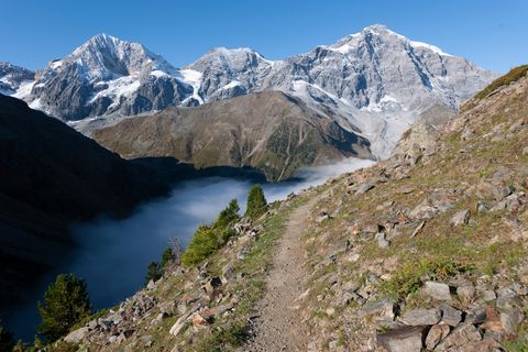 Der Ortler