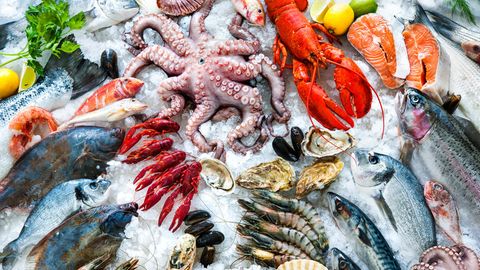 Mikroplastik in Meeresfrüchten: Fische und Muscheln liegen zur Kühlung auf Eis