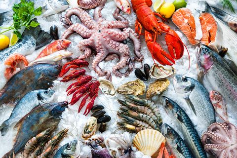 Mikroplastik in Meeresfrüchten: Fische und Muscheln liegen zur Kühlung auf Eis