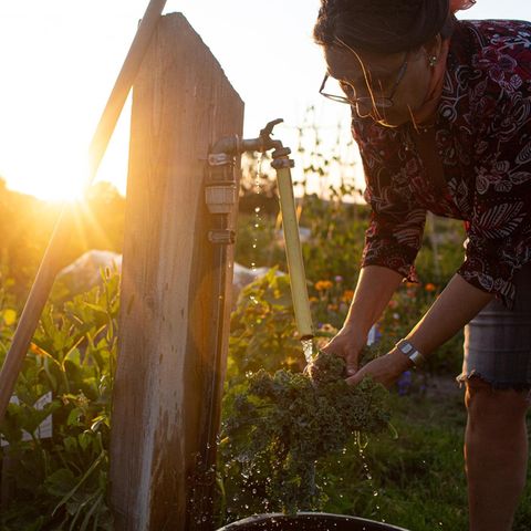 Marianne Rauch auf ihrer Parzelle im Meine Ernte Feld