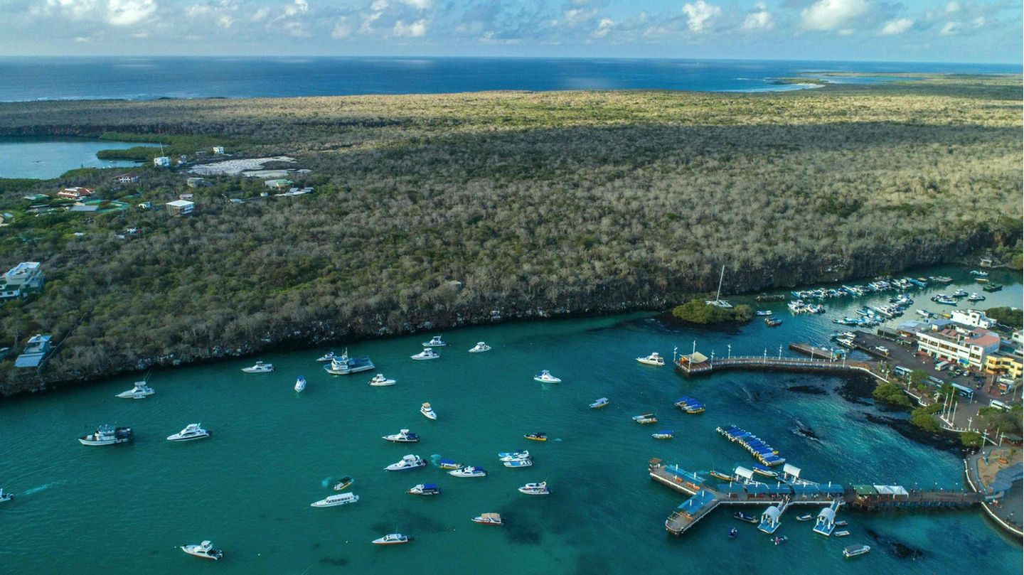 Puerto Ayora auf Santa Cruz Island, Galápagos-Inseln in Ecuador