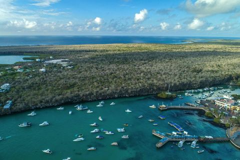 Puerto Ayora auf Santa Cruz Island, Galápagos-Inseln in Ecuador