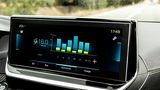 Der Peugeot e-208 hat einen Durchschnittsverbrauch von 17,6 kWh/100 km
