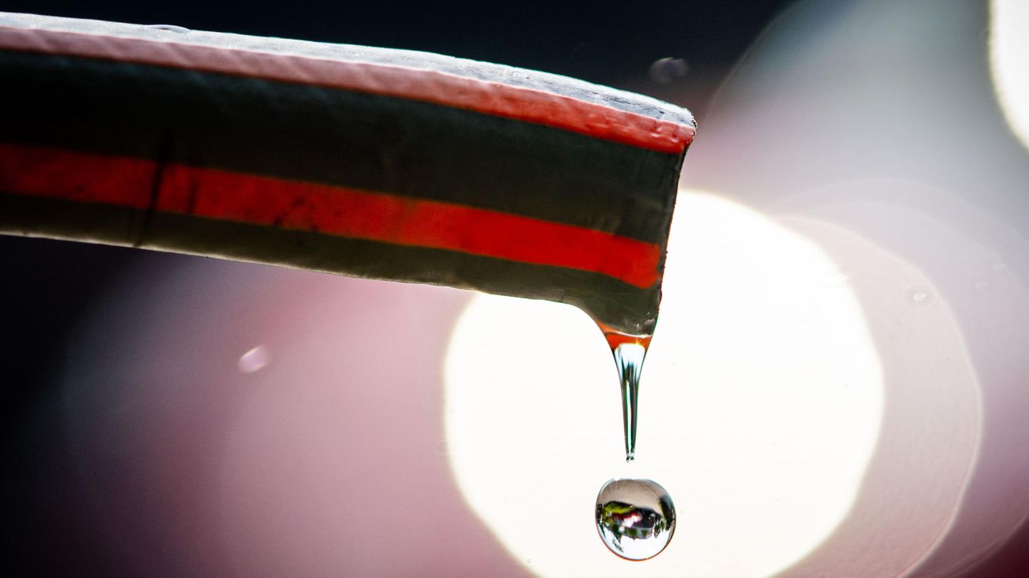 Wasser tropft in einem Frankfurter Vorgarten aus einem Gartenschlauch