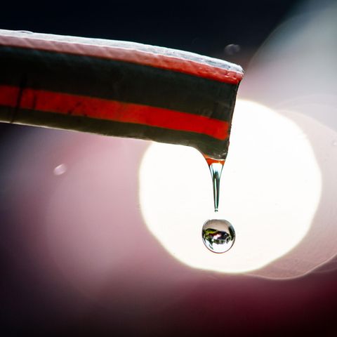 Water drips from a garden hose in a front garden in Frankfurt